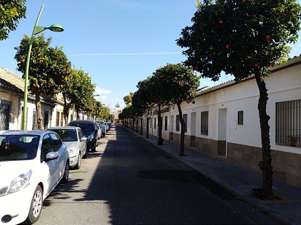 Alzahira 1 Villa Córdoba Eksteriør billede